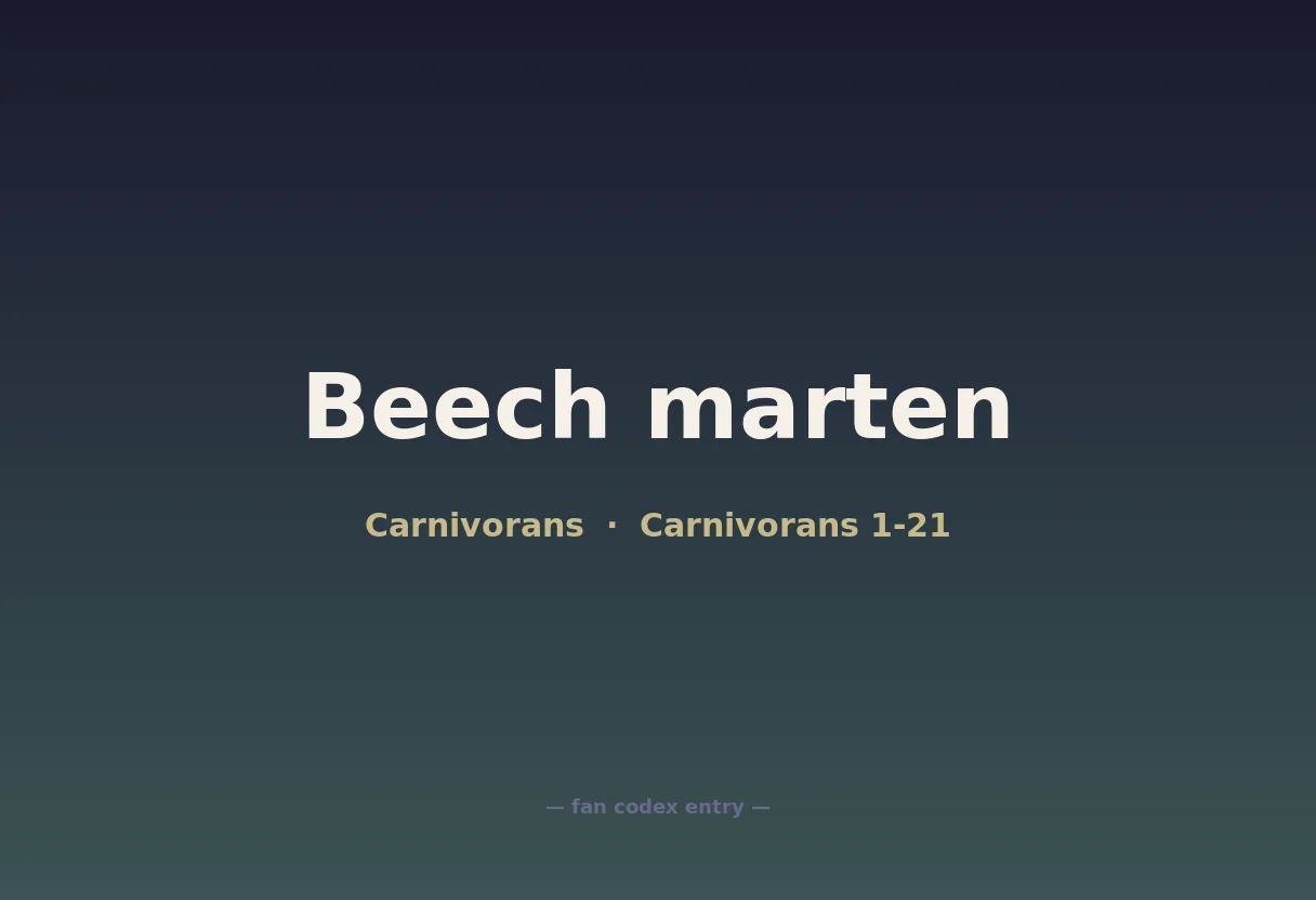 Beech marten