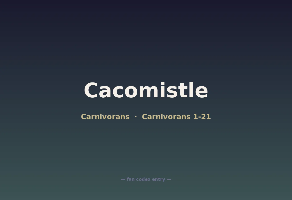 Cacomistle